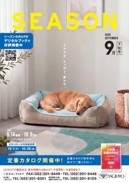 SEASON9月下旬号
